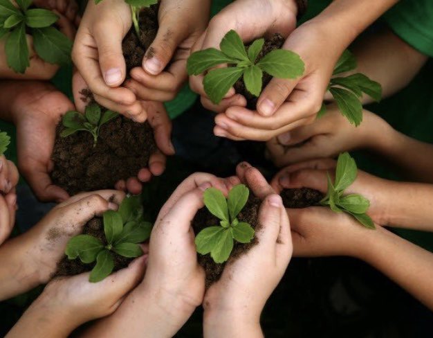 Capture the Carbon!!
Tree Planting this Weekend
Maha'ulepu

Saturday, December 10, 7:30 AM  REGISTRATION REQUIRED! Contact John Harder dumpdoctor@gmail.com or 808 823 6965 Capture the Carbon Committee, Kauai Climate Action Coalition Prepare to get dirty, have fun &amp; do good!