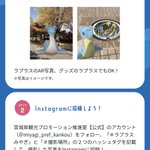 ツイートに含まれる画像