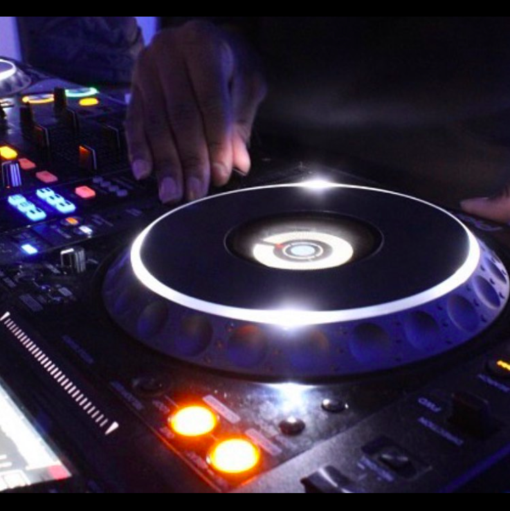 Archivist D 👑 tweet media