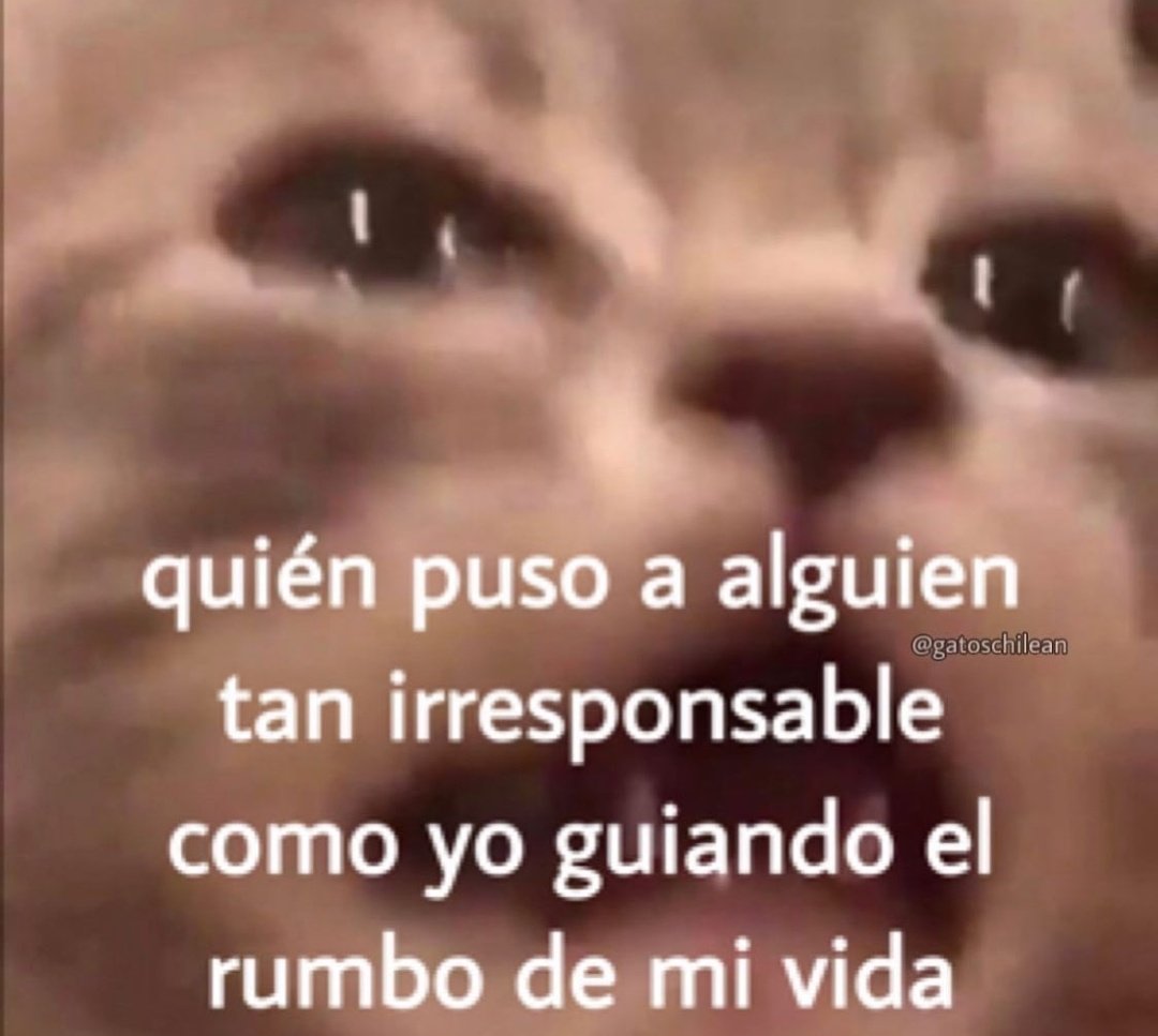 Yo en medio de una crisis preparando los finales