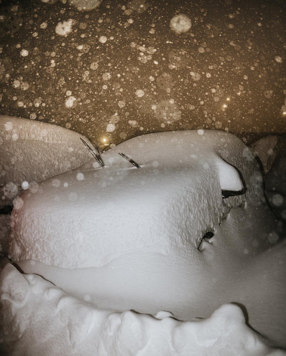 Ski California tweet media