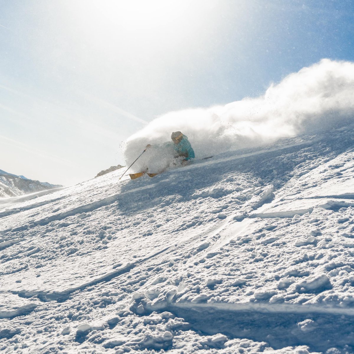 Ski California tweet media