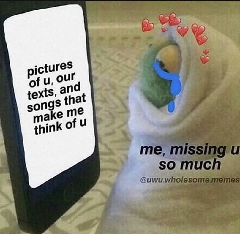 cravedcuddle's tweet photo. https://t.co/akdTa9HQto