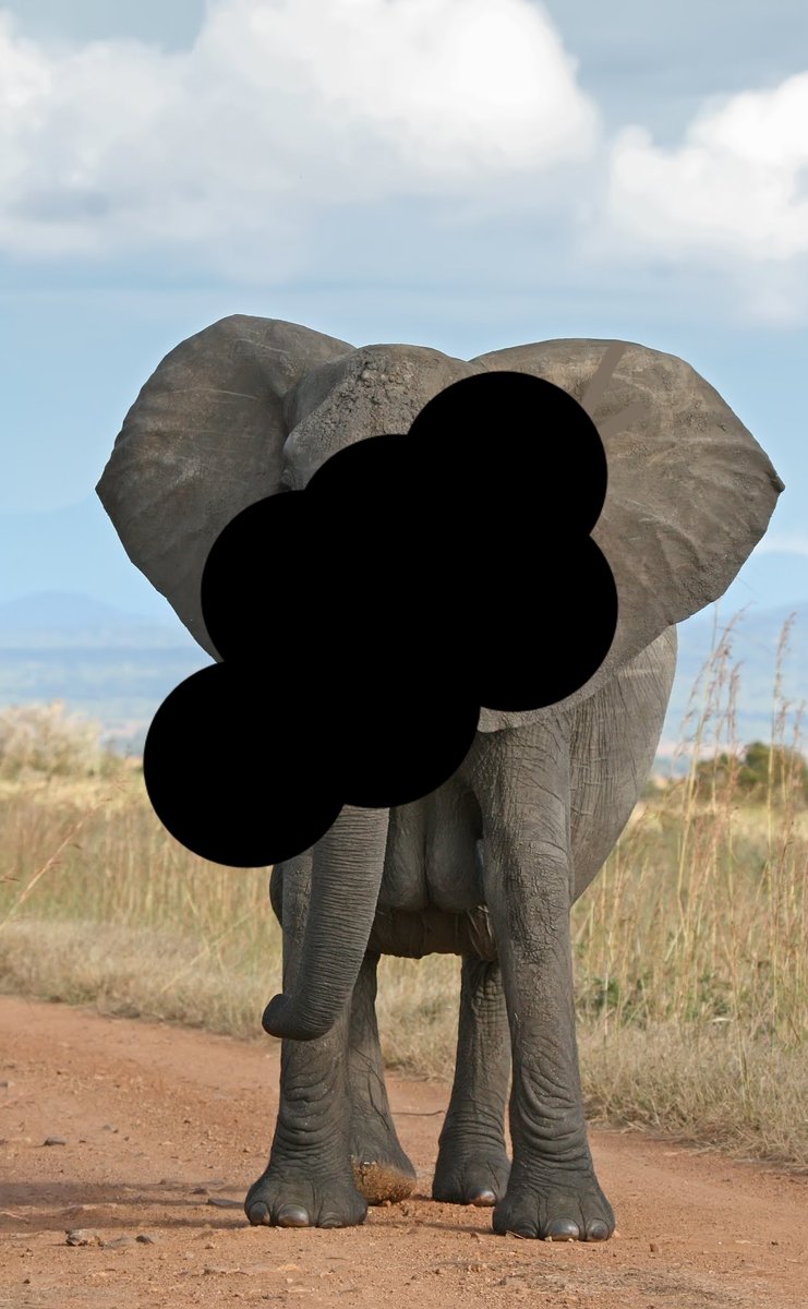 اتحداكم هذا وش؟؟؟؟؟