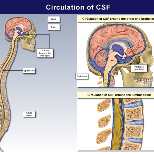 EmergingSciences tweet media