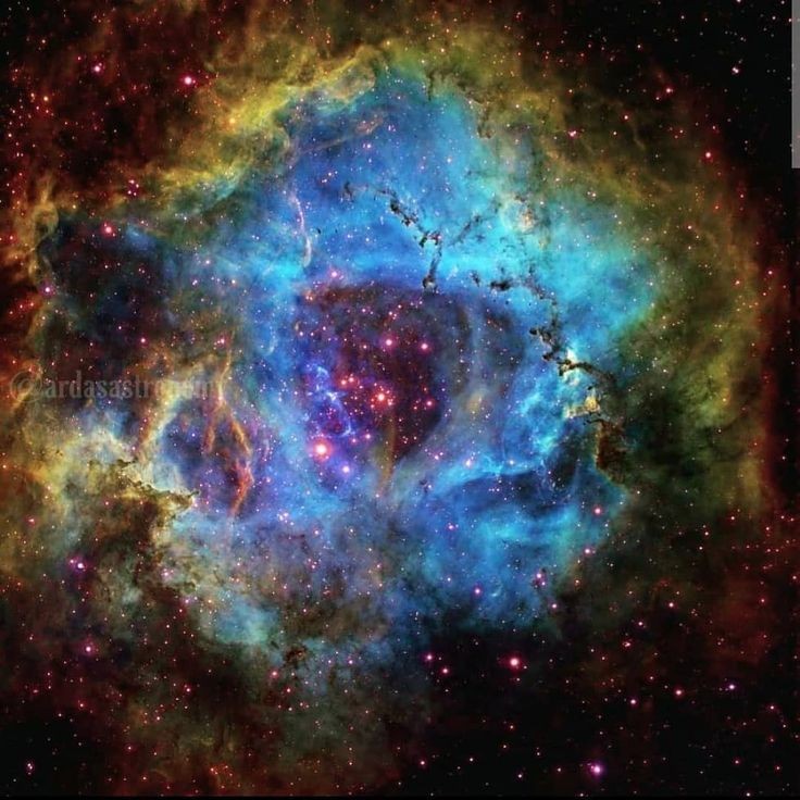 Rosette Nebula by ardasastromy instagram.com/p/CHOB1xpjCa0/…