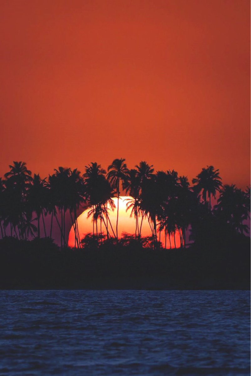 aestheticspost_'s tweet photo. Mood https://t.co/efiedRz0CT