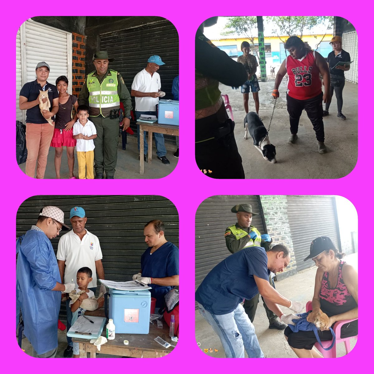 Gran jornada de sanidad y bienestar animal en Villa Cielo 🐾🐶🐱🐈🐕 participación masiva de la comunidad con sus mascotas.  #NavidadSinMaltratoAnimal 
Gracias a <a href="/DMininos/">dulces mininos</a> y PRIM Montería. Con apoyo de <a href="/monterialcaldia/">Alcaldía de Montería</a> y Policía Ambiental.
#bienestaranimal #adoptanocompres