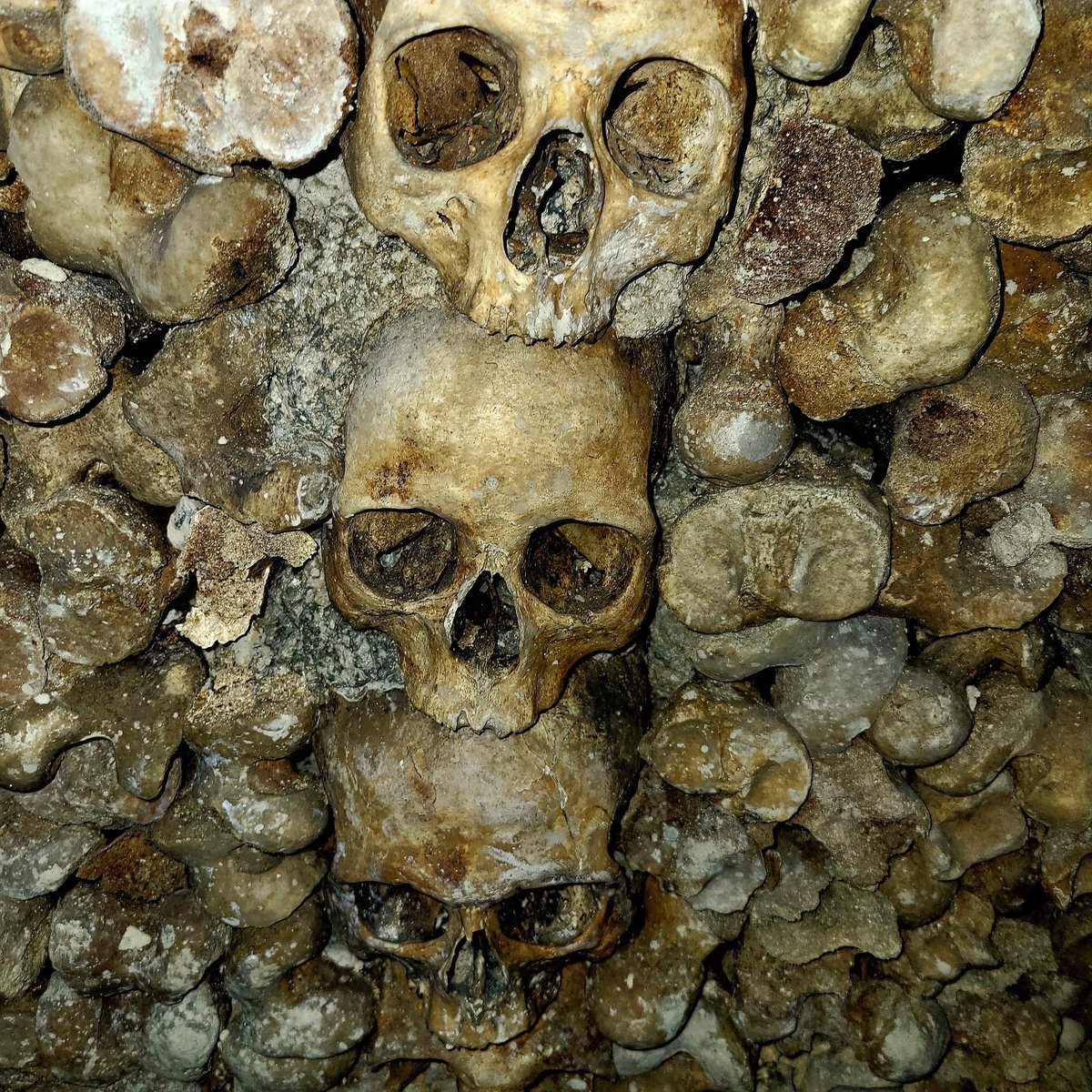 FraterMabus's tweet photo. Pictures I took Catacombs of Paris this year. (2022) #CatacombsofParis Turns out it's not funny to play #halloweenmoviesoundtrack loudly on cell phone when in the deepest darkest corners of it's depths with fellow travelers. #NoteToSelf https://t.co/nSkKK1CnOm