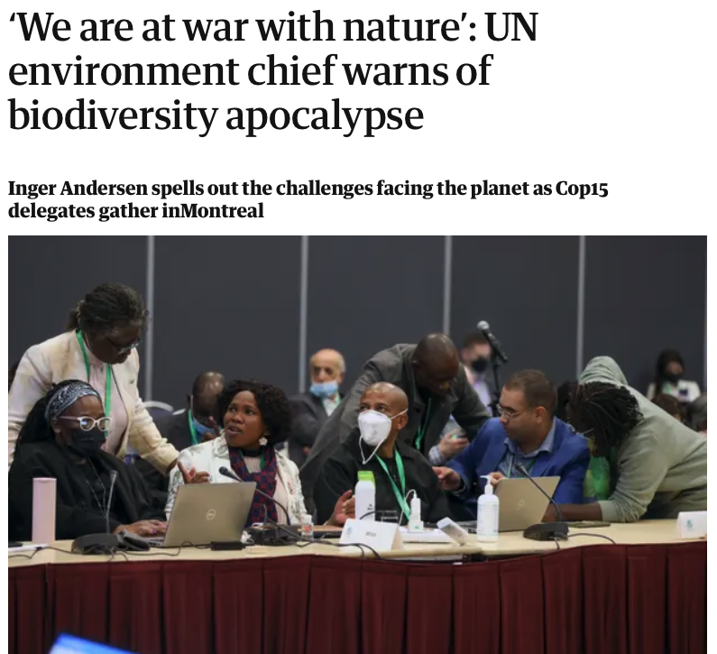 Bit by bit, the illusion unravels before our eyes. We were sold a lie our entire lives – of endless growth – and we clung to it so fervently we could imagine nothing more than the lie.

Yes, we are waging a war on nature – one we are fated to lose