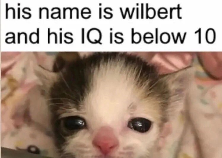 ؘ (@h4z0r) on Twitter photo 