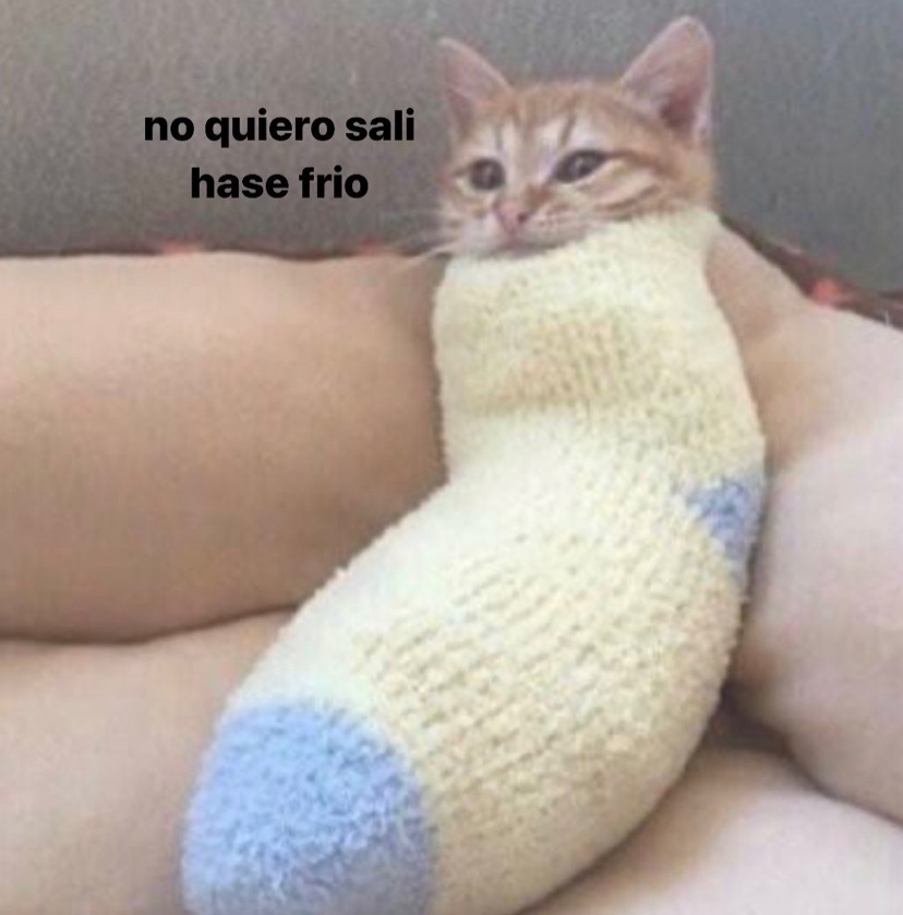 paaularooyo's tweet image. soy yo ahora mismo