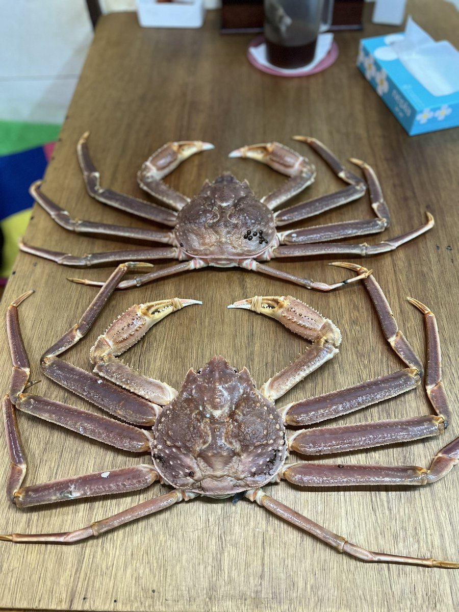 全部一緒やんってツッコミたくなると思うんやけどさ
この子ら双子らしい…。