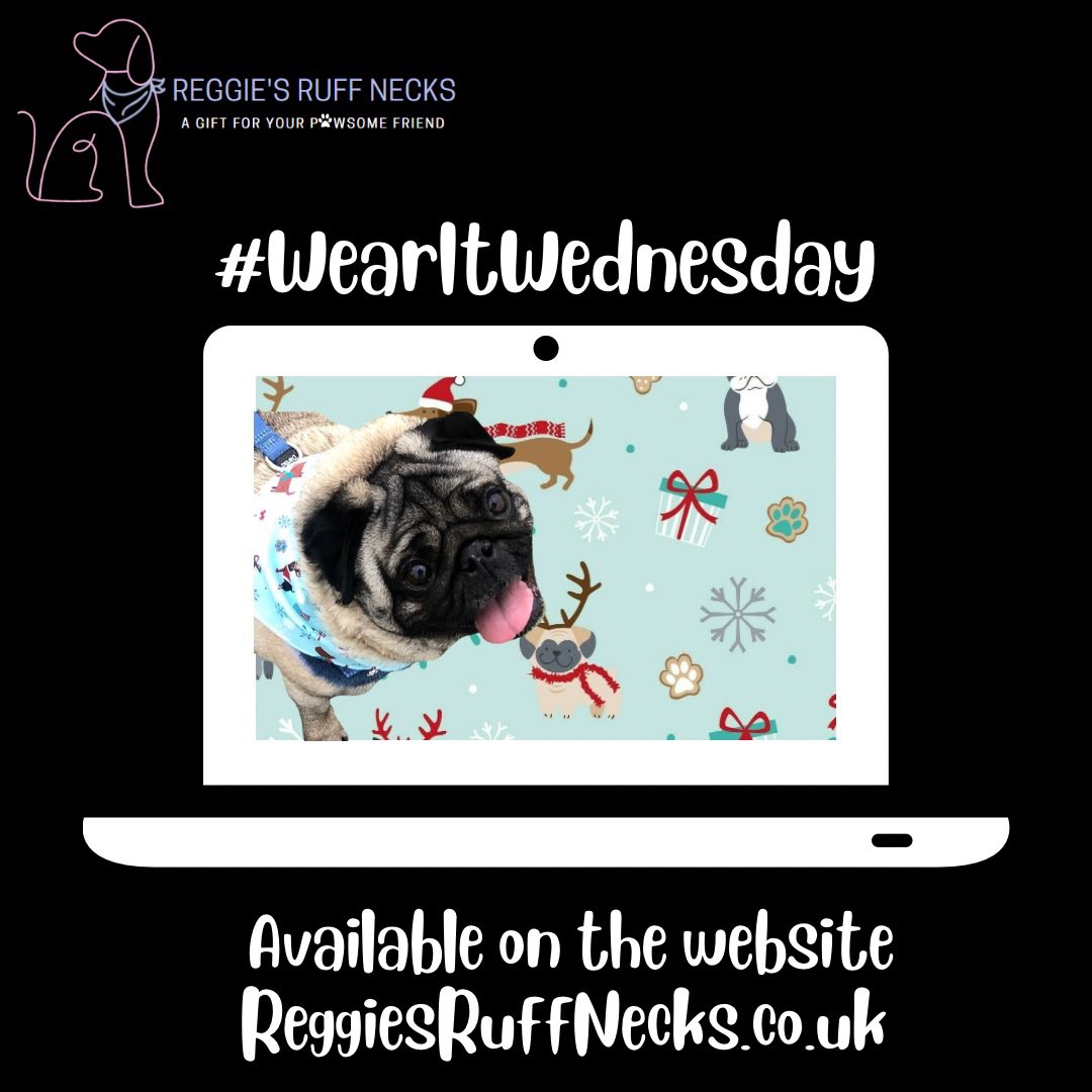 RegRuffNecks's tweet image. How adorable does Horatio look in this design?🥰 

#PawsomePals #LookForThePaw #DogBandana #BandanaPet #DogFashion #DogOfTheDay #ReggiesRuffNecks #Dog #DogLovers #DogLife #DogUK #Doggo #DogsCorner #DogStyle #DogDaily #DogInfluencer #RuffNeck #WearItWednesday