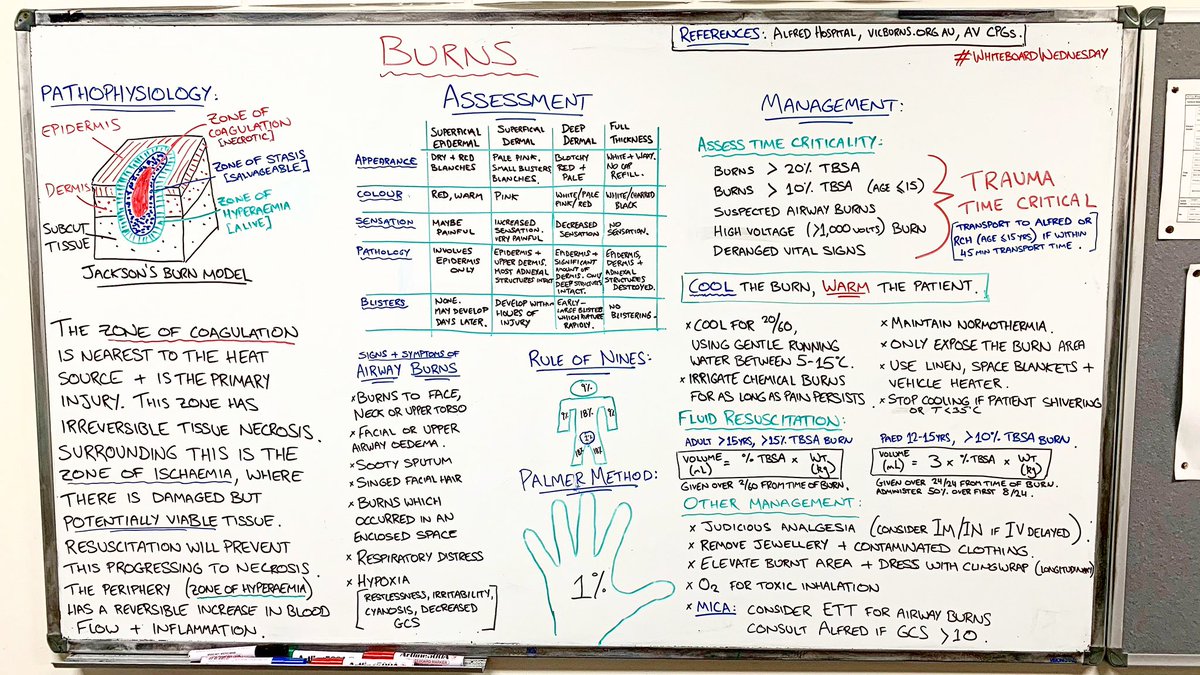 ParamedicBasics tweet media