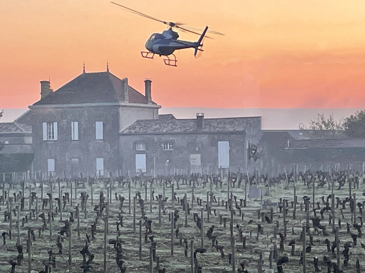 Ile de Re tweet media