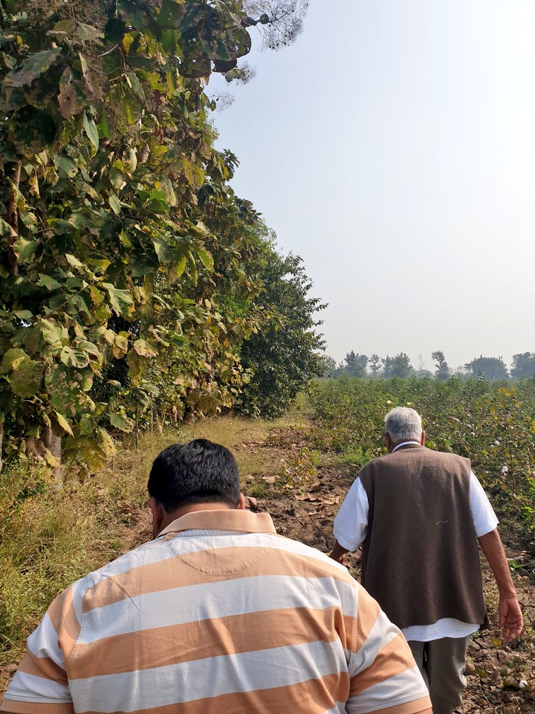 Agriculture is our wisest pursuit, because it will in the end contribute most to real wealth, good morals &amp; happiness.

#AdivasiFarmer #India