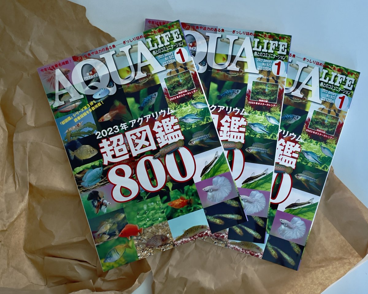 月刊アクアライフ」創刊号から41冊 希少 昭和版