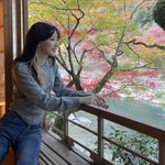 ツイートに含まれる画像