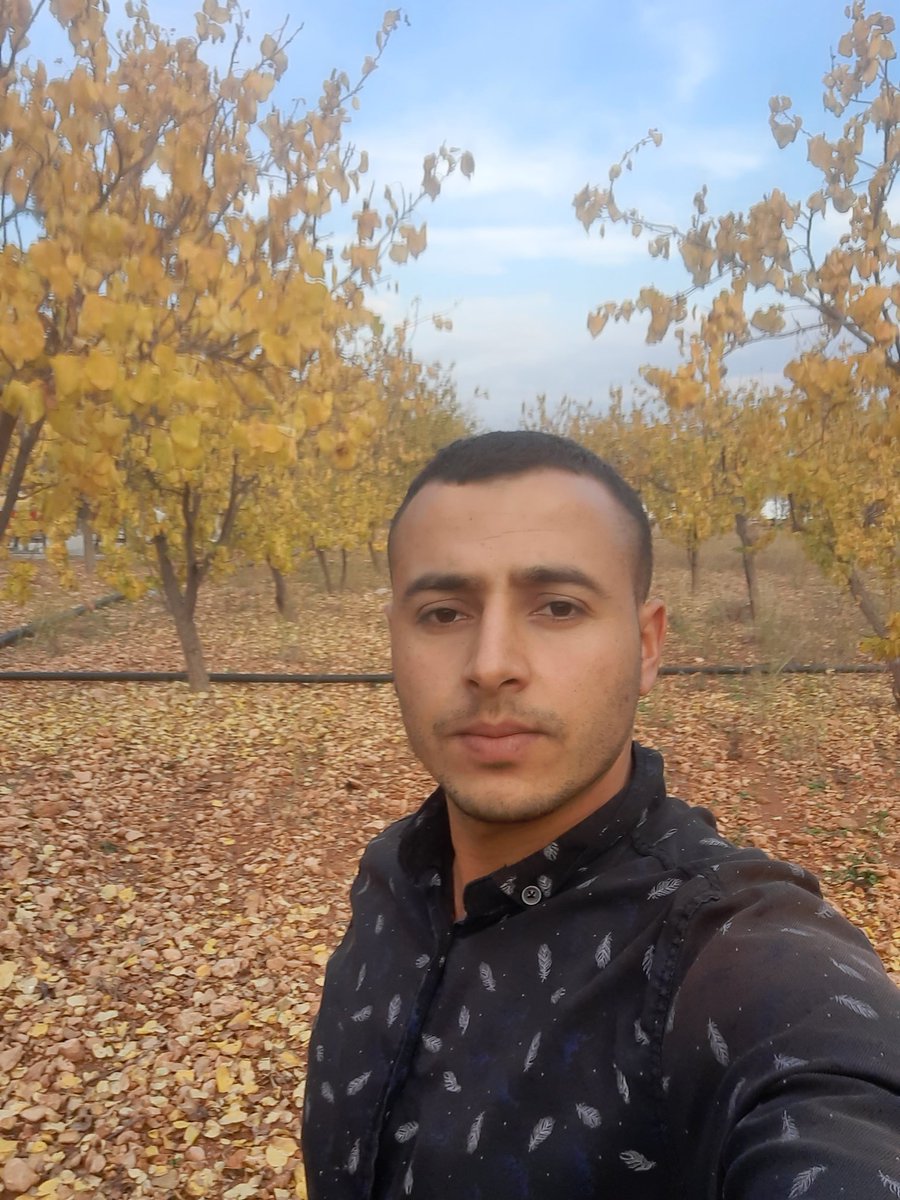 LKurur's tweet photo. https://t.co/falRmQMAAJ