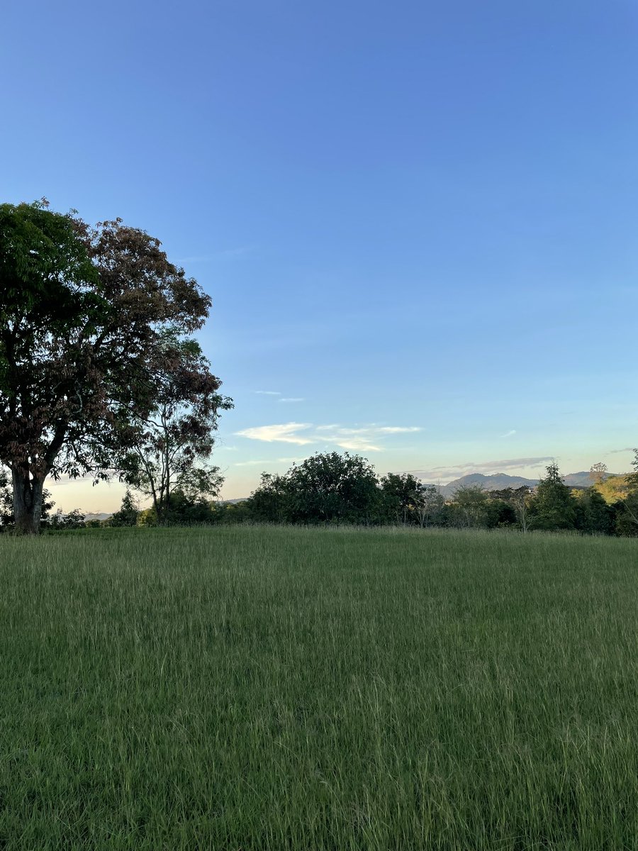 รักเขาใหญ่ช่วงนี้จัง อากาศกำลังดี (18-24 องศา) ใครกำลังมีแผนมาพักผ่อนแถวนี้แนะนำให้ลองเช็กโรงแรม The Gallery ดู เป็นอีก รร. ที่เราชอบมาก เพราะห้องน้อย คนไม่ค่อยเยอะ พื้นที่ใช้สอยในห้องกว้างขวางแล้ว เรายังรัก landscape ของที่นี่มากๆ ด้วย มีทั้งทะเลสาบและเนินเขาให้เราได้เดินชม /1