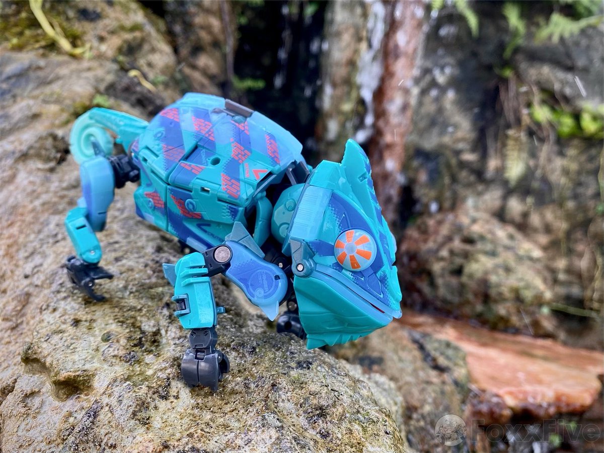 foxracingfive's tweet photo. Too cool to blend in @52ToysBeastBox @52TOYSJP @s250_MKII #52toys #beastbox #desktoys #ビーストボックス #phantomaster #chameleon https://t.co/uDAQ6Jfdfe
