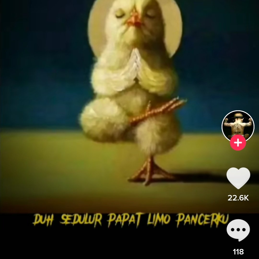 pkpaijo's tweet photo. #FotoProfilBaru https://t.co/cmbjLfgESv