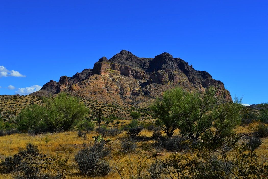 glenn-mccarthy.pixels.com/featured/picke…  #NaturePhotography #ArizonaHighways #DesertLandscape #MOUNTAIN
