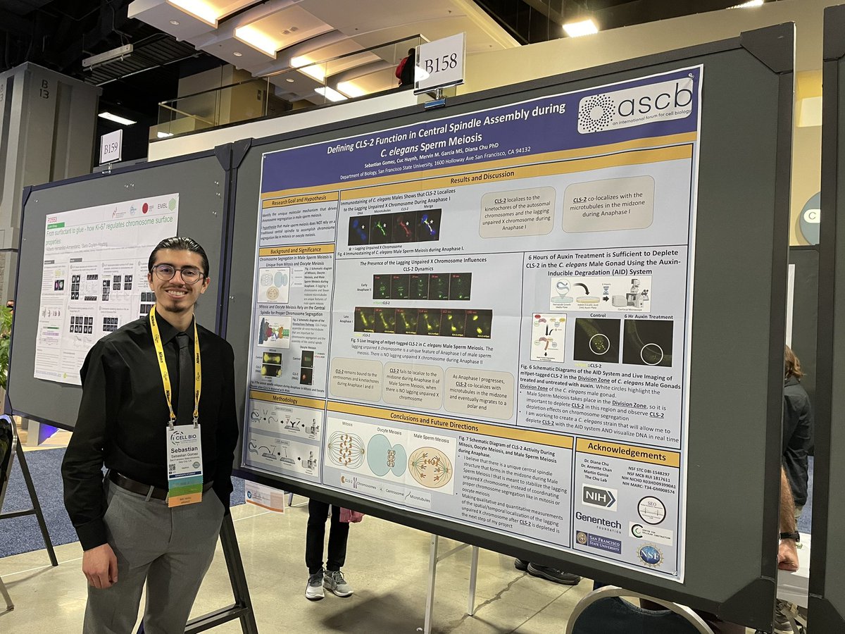 Mr_SebasG's tweet photo. What a great way to end my #CellBio2022 Conference experience! I presented my poster one last time and met an amazing individual: Dr. Frank Bayliss, an incredible mentor and the director of the Genentech Foundation Fellowship at SFSU. Thank you @ASCBiology for having me! https://t.co/OPnXuYOeyI