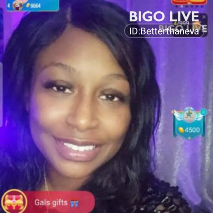 Indigo Tribe Agency’s pics and videos