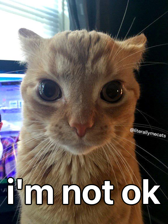 austiniserVAL's tweet image. 