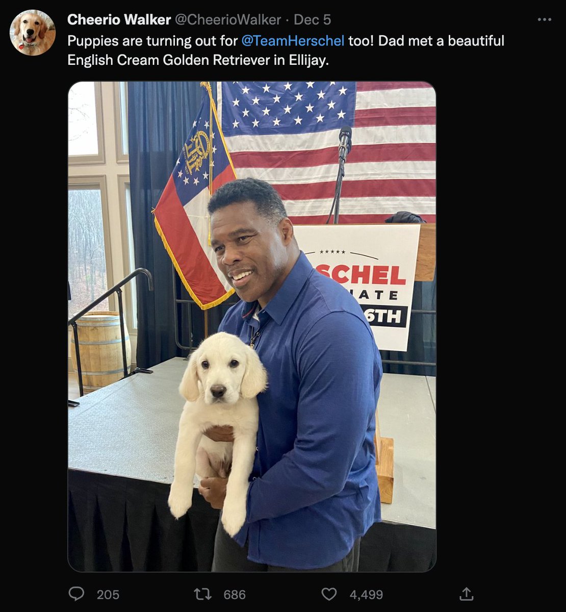 Quinton Reviews🎬 on Twitter "Herschel Walker is going to be shocked