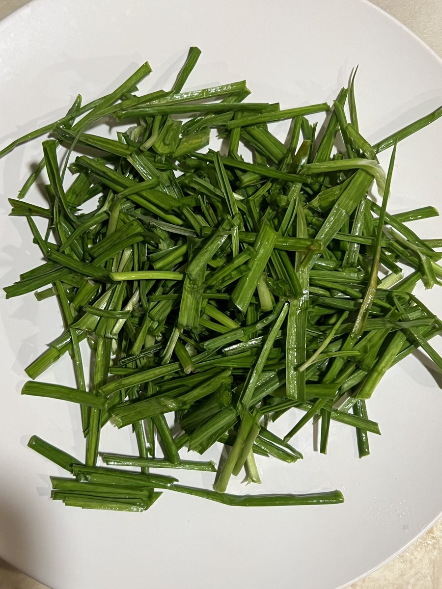 做饭时想起来没有韭菜,去园子里割了一把回来。夏天下的种子,冬天第一次收割,不知道过冬情况怎么样。 周锋锁 Fengsuo Zhou ...