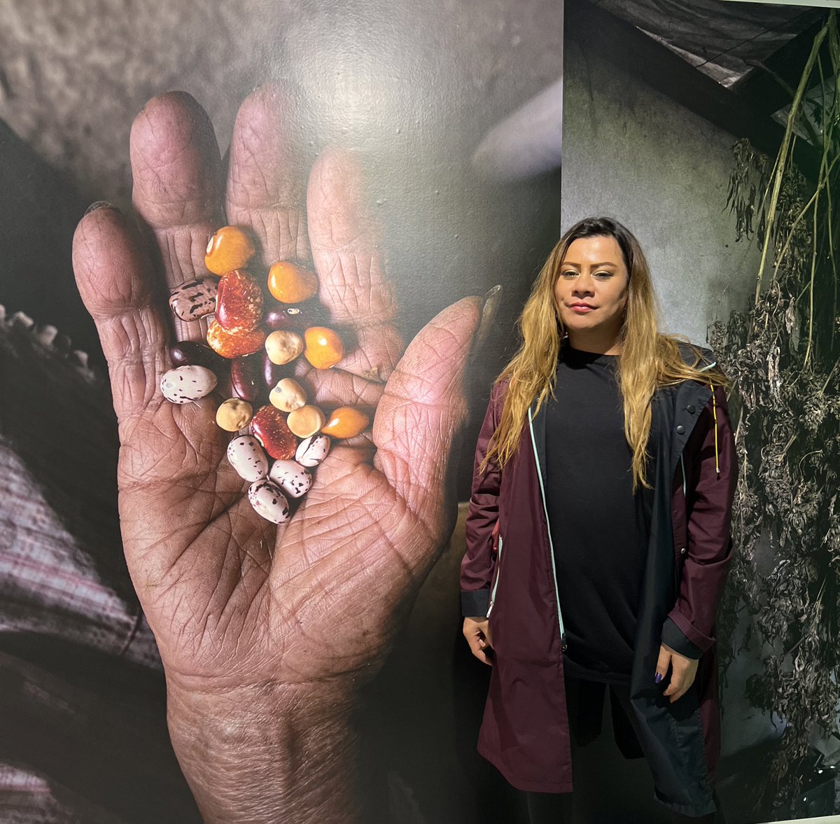 JuliSalama11's tweet photo. “Las claves para enfrentar el cambio climático están en todas partes”

No se queden sin ir a la maravillosa exposición fotográfica #GuardianxsDeSemillas de @nathalianph y @chelocamachx en @CasaPalmaHub.  Admiración profunda. 

📌Estará hasta el 20 de diciembre. https://t.co/QIShVHKGbg