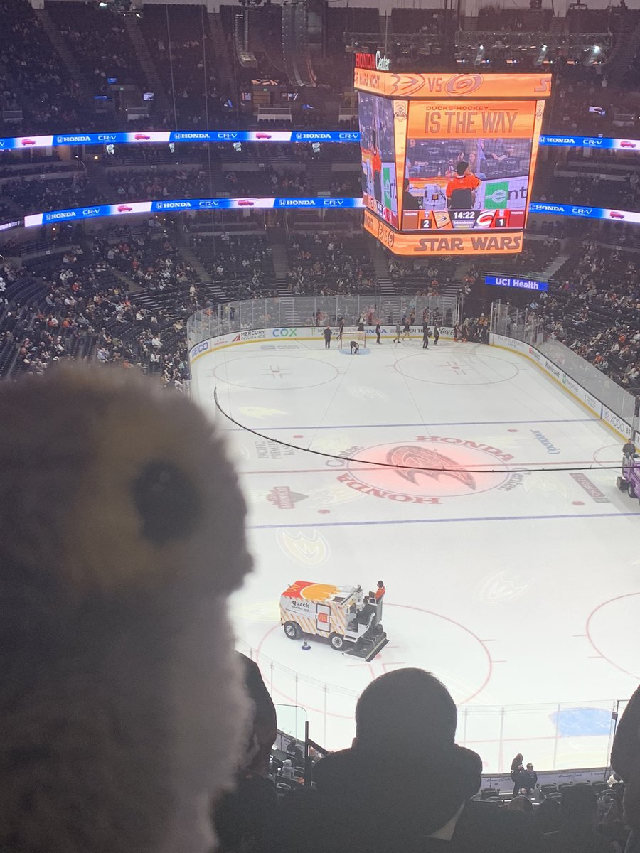 Honda center now has 100% more porgs #ducksstarwars