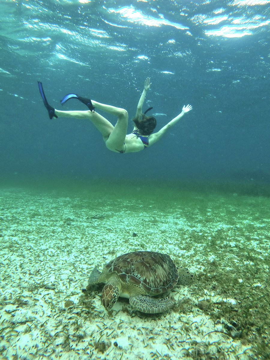 Paige Ginn on Twitter: "wet gal 🐟"