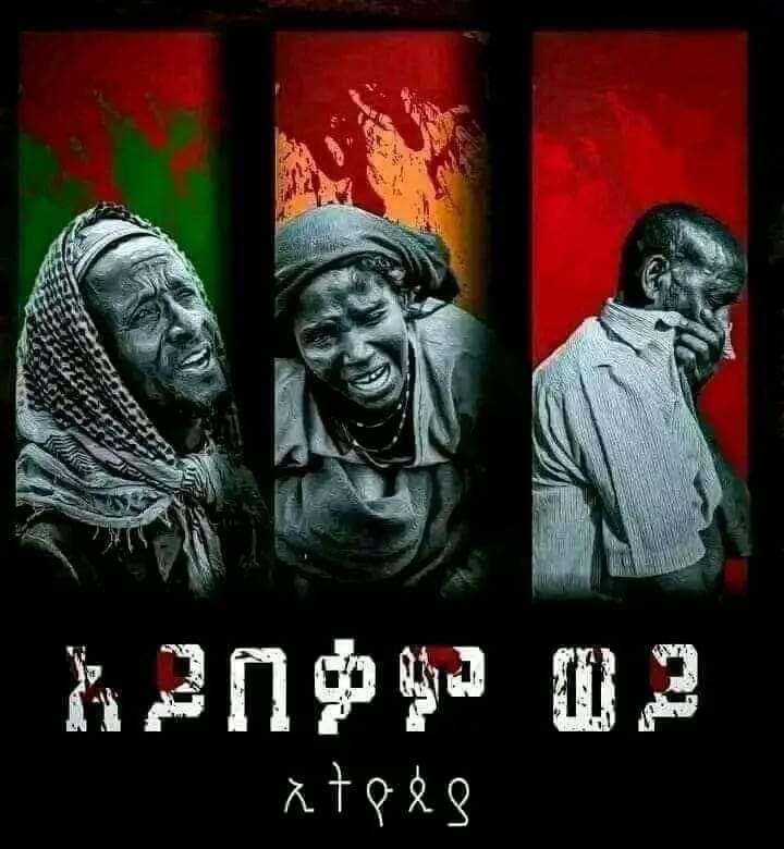 The ongoing #AmharaGenocide in Oromia, is yet another crisis visibly unfolding while the world stands by. Far too often, intervention &amp; outcry come from the int'l community when a crisis has worsened. <a href="/hrw/">Human Rights Watch</a> <a href="/amnesty/">Amnesty International</a> <a href="/antonioguterres/">António Guterres</a> <a href="/UNHumanRights/">UN Human Rights</a> <a href="/SecBlinken/">Secretary Antony Blinken</a> <a href="/UNOSAPG/">UN Genocide Prevention</a> <a href="/AJEnglish/">Al Jazeera English</a>
