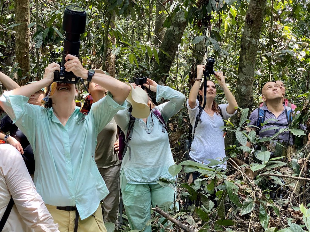 OrangutanTOP's tweet photo. One place left to #VisitBorneo with #LeifCocks in February 2023! Bookings and more information: https://t.co/xlSZO4oqWM
Visit #TanjungPuting National Park, see #WildOrangutans in the #rainforest, visit the BOSF centre in Nyaru Menteng...
#TheOrangutanProject #TOP #BorneoTour https://t.co/gP25aTOMLs