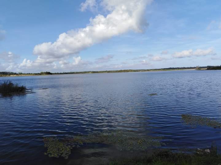 rauldejesusvm's tweet photo. Centro recreativo El Abra, un espacio de la geografía en la Isla de la Juventud para pasarla bien en compañía de la familia. Allí una presa para deleitar la mirada. https://t.co/TRix0mpw38