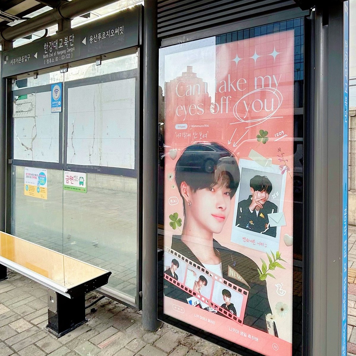 우리는 니시무라 시대에 살고 있습니다..
#도키도키러블리키데이
#우리도_진짜_니키밖에_없어 🐥✨💗