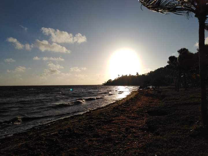 rauldejesusvm's tweet photo. Más allá del mar siempre existe un lugar donde encontrar la vida. https://t.co/ePELEMG5Rx