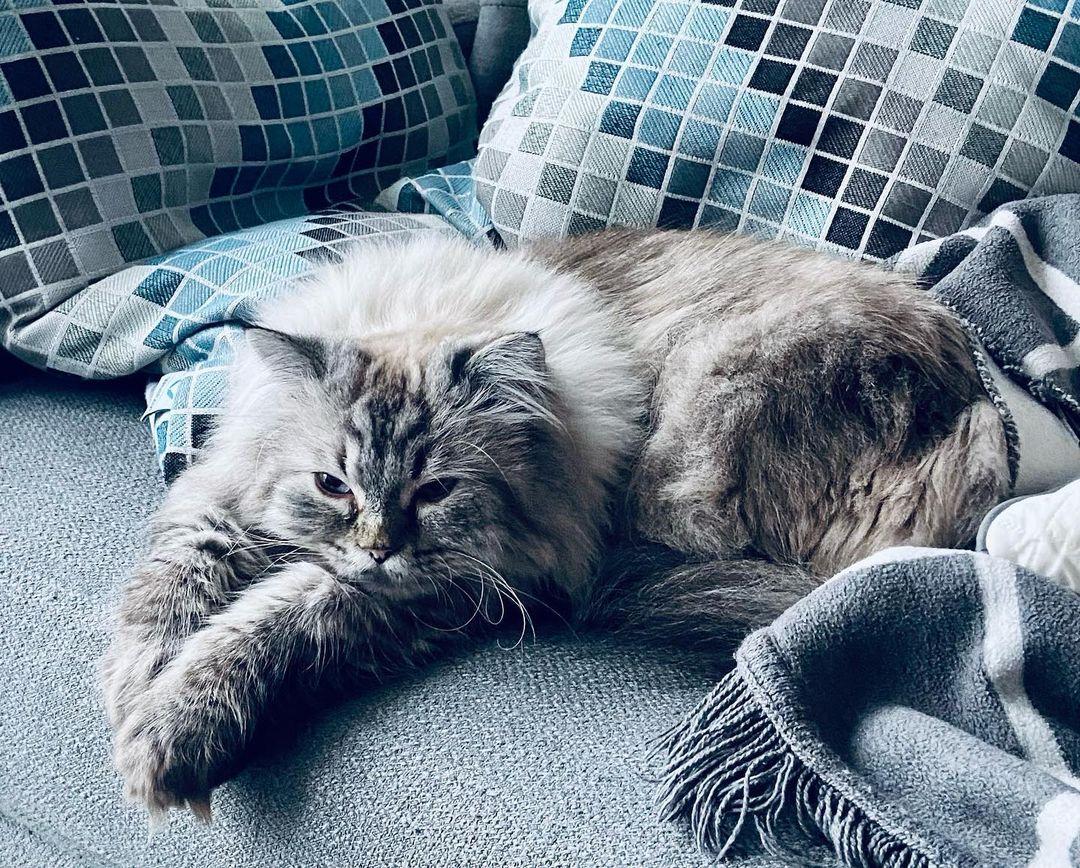 TMI_Uruguay's tweet photo. Meantime...@ch8i is enjoying the weather...@JadeHassoune is making music and missing Chai "jadehassoune: Miss you βοΈ"...while #Nigel "What am I thinking about?" He's clearly not a morning person...@AdamKWilson
#ShadowFam #TheNewsreader #TheNewLegendsofMonkey #J4DE #TheBreach https://t.co/WMY2c6uXg6