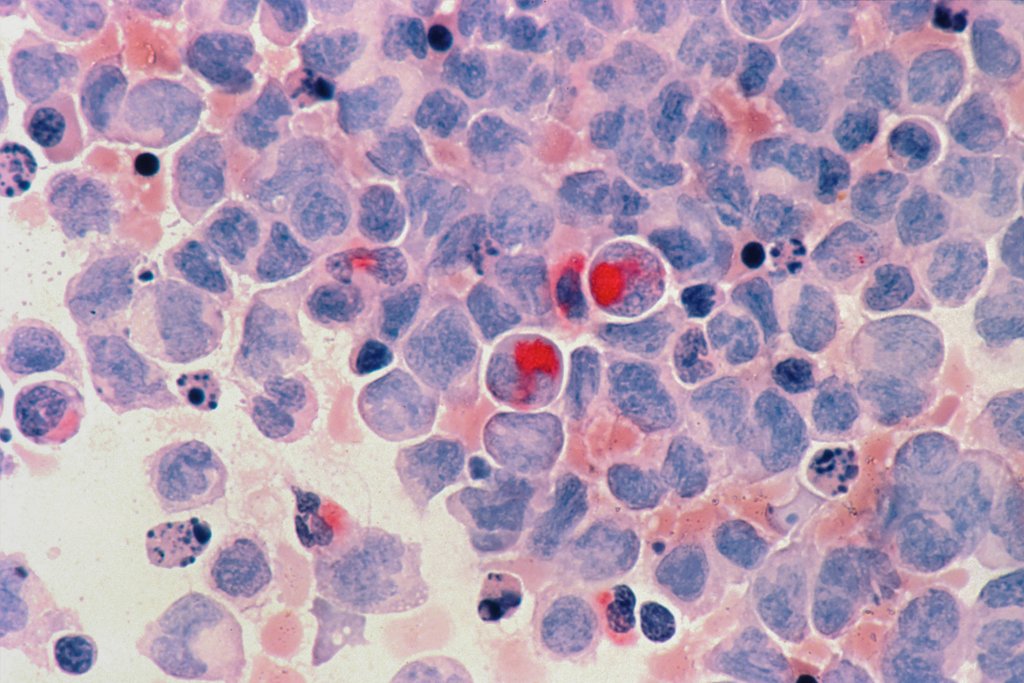 Clemons_Lab tweet picture