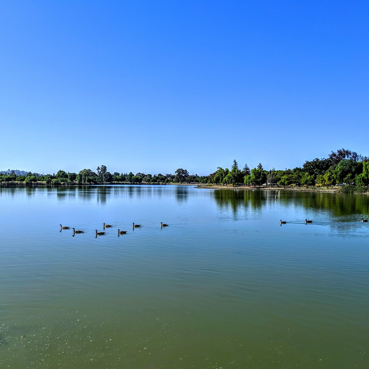 YingZheng22's tweet photo. When I want to go to the park with my brother, I always ask him, "would you want to go THE park with me?" We all know where the park is located. It is the Fremont center park, and near to my house. #ling107f22 https://t.co/Ew69auZyWb
