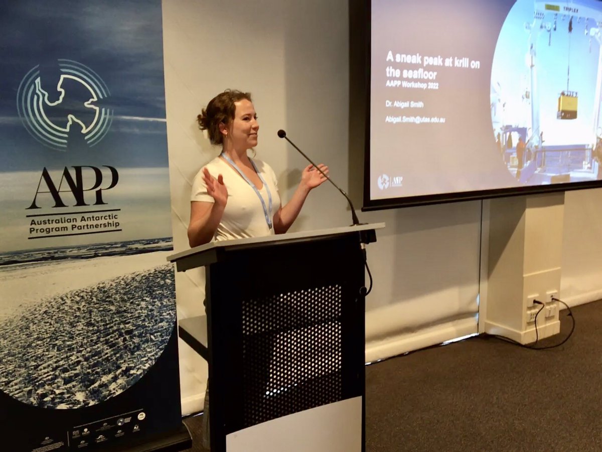 Ant_Partnership's tweet photo. @AbigailJRSmith takes a sneak peek at #krill on the sea floor using video from a deep sea lander and echo Sounders. Lots at 400 metres depth during autumn and winter! #AAPPscience #TEMPO https://t.co/bkfVqbRqcN