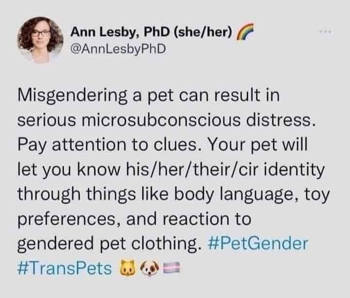 🤣🤣🤣