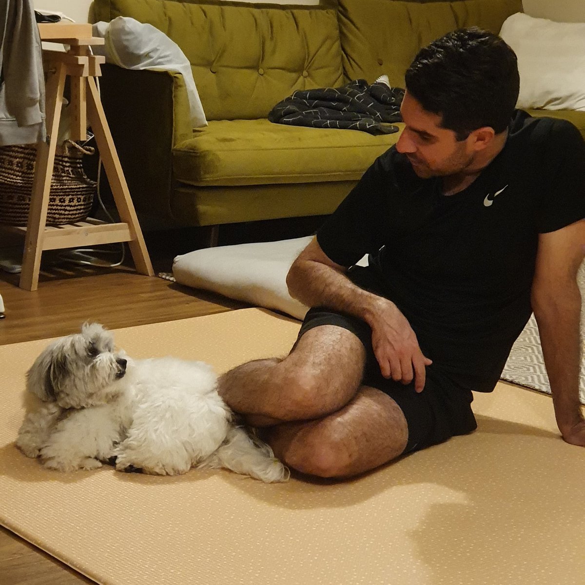 gravino_matteo's tweet photo. Please RT
This is about a dog contest in #SBSTV YouTube channel!
In this video https://t.co/Qa00QCRpAA you can see @mare_poo performance in the Top-5 dogs. If you wish her to win the contest:

1.Please share the video in the above link  
2.Give it a thumbs up👍(very important!) https://t.co/DLHqqxJucf