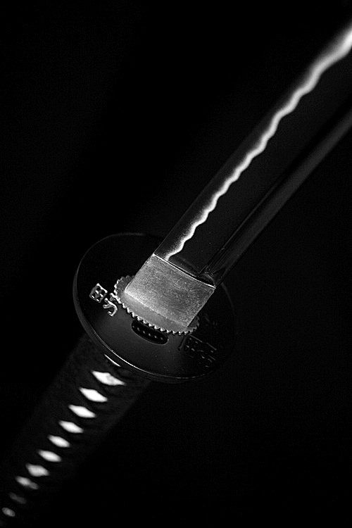 archillect's tweet photo. https://t.co/OMdK7m5Pen
