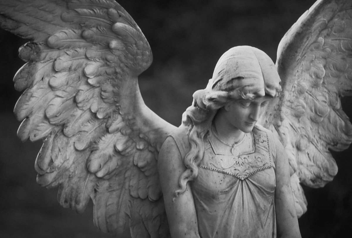 KatieInABox's tweet photo. hand to heart, im gonna stay faithful to the devil i know 🥀🩸🖤💋 https://t.co/zlK97O1OsZ