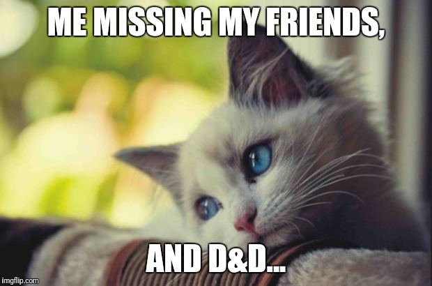 GeigenVonHuber tweet media